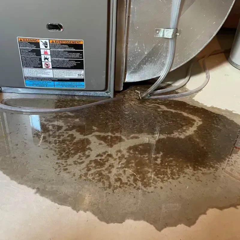 Appliance Leak Cleanup in Carteret County, NC